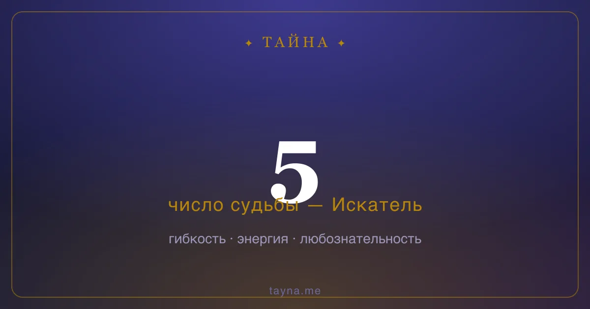 Число 5 в нумерологии — Искатель